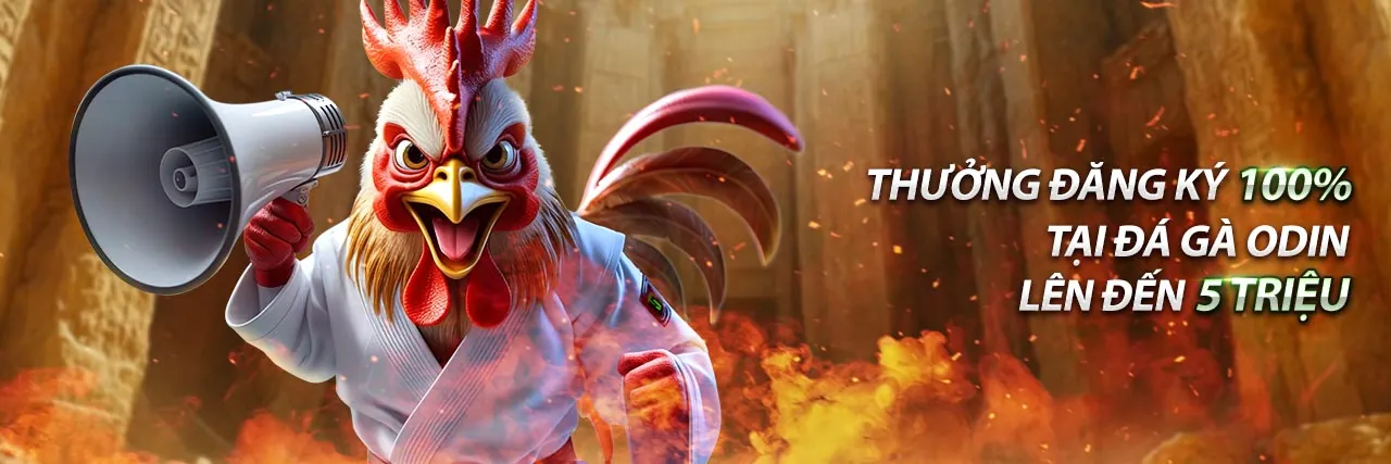 Đá Gà Trực Tiếp ae3888 An Toàn