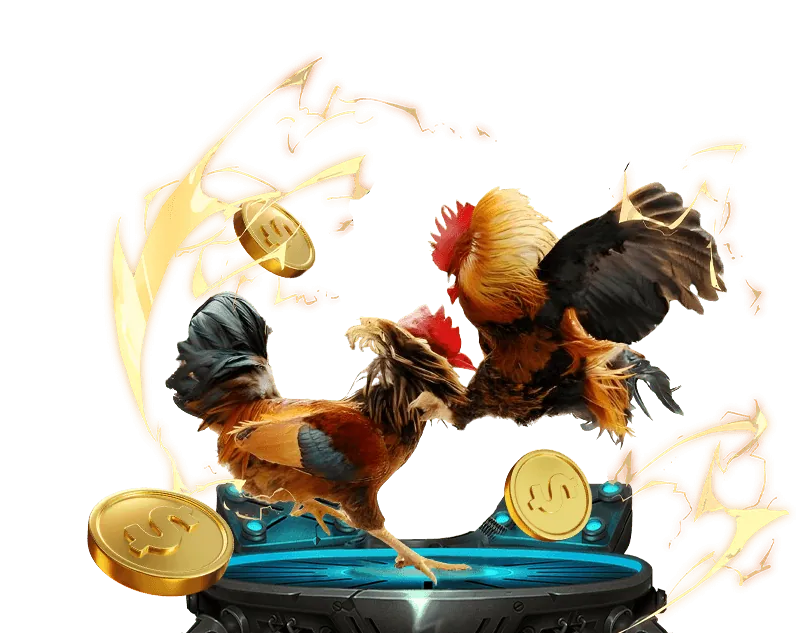 Người xem đá gà trực tuyến